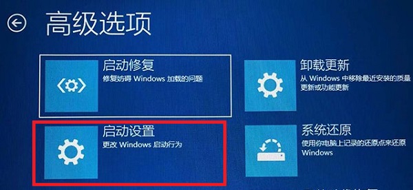 window10调整分辨率屏幕黑了怎么办(win11分辨率低)