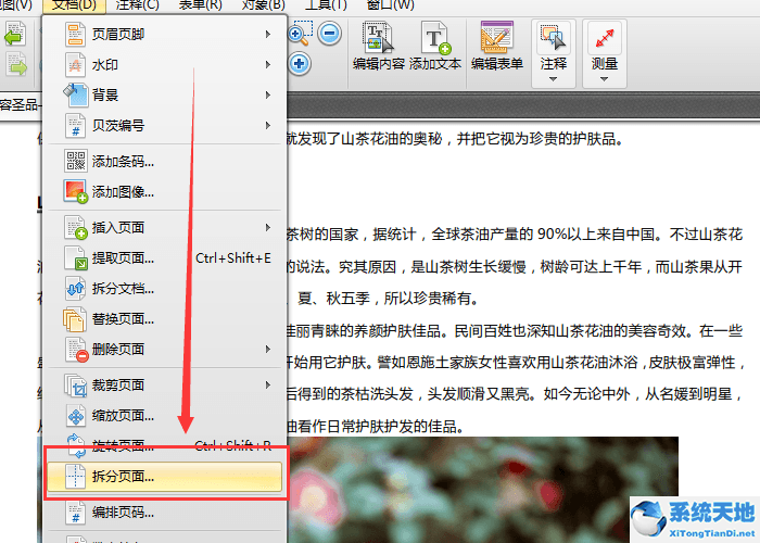 迅捷pdf编辑器怎么拆分表格(迅捷pdf转换器怎么拆分)