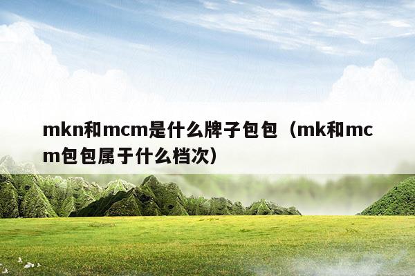 mkn和mcm是什么牌子包包(mcm牌子和mk哪个高端)