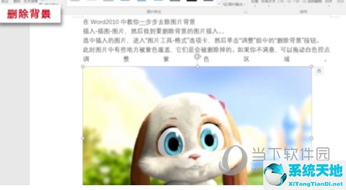 word文档背景颜色怎么删除(word变更颜色怎么找不到删除背景)