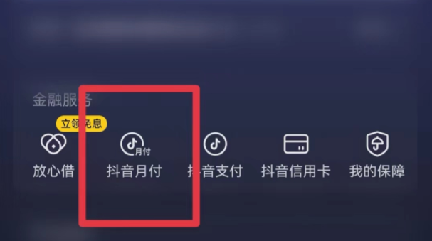 抖音月付什么意思