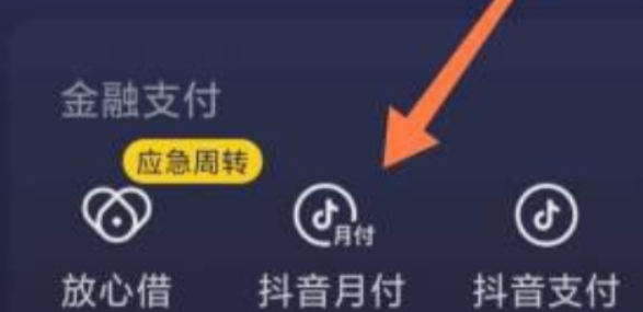 抖音月付什么意思