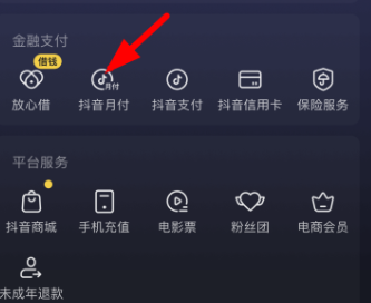 抖音月付什么意思