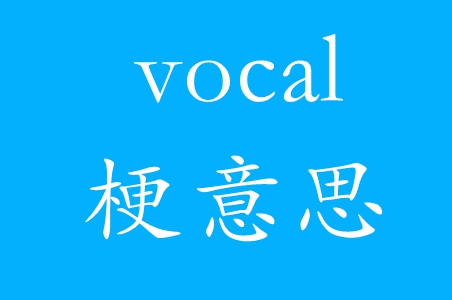 vocal网络用语梗意思介绍