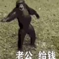 猴子要钱的表情包gif