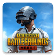 pubg国际服手游下载正版地铁逃生