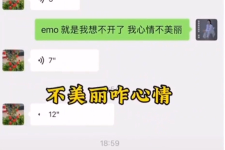 鹅毛网络用词解释