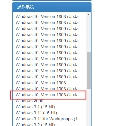 关于1903专业版(windows1903是专业版吗)