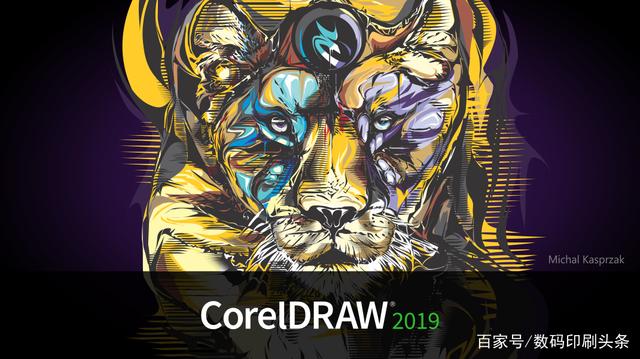 coreldraw2019是哪个版本(coreldraw standard 2021)