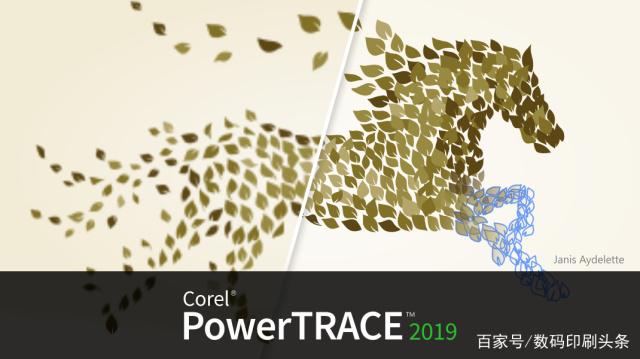 coreldraw2019是哪个版本(coreldraw standard 2021)