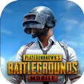 PUBG2.8版本下载