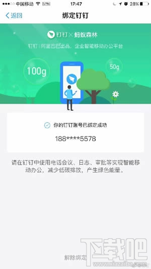 蚂蚁森林钉钉是什么