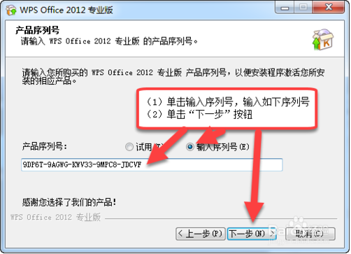 专业版wps2019 安装(wps office 2020专业版)