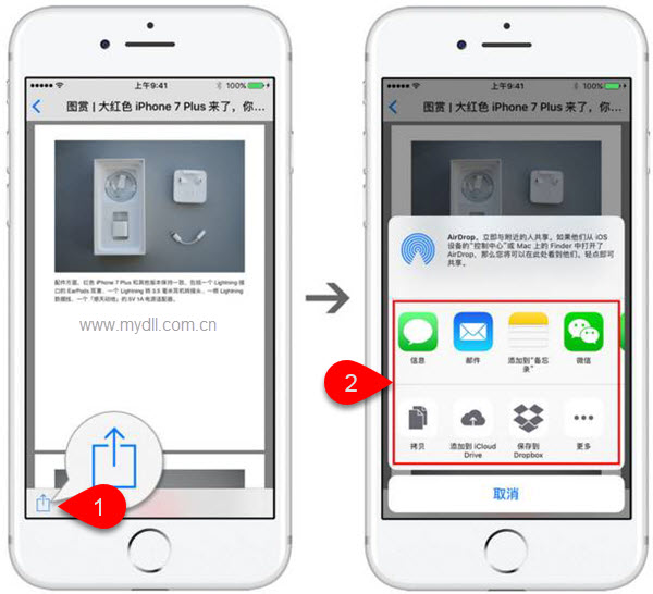 ios14 safari保存网页为pdf(safari保存网页为长图)