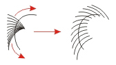 coreldraw x4怎么画花(coreldrawx4画笔在哪)