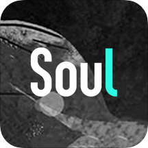 soul特别版