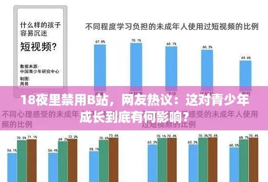 18夜里禁用B站